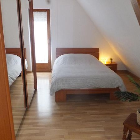 Superbe Appartement En Residence Betschdorf Εξωτερικό φωτογραφία